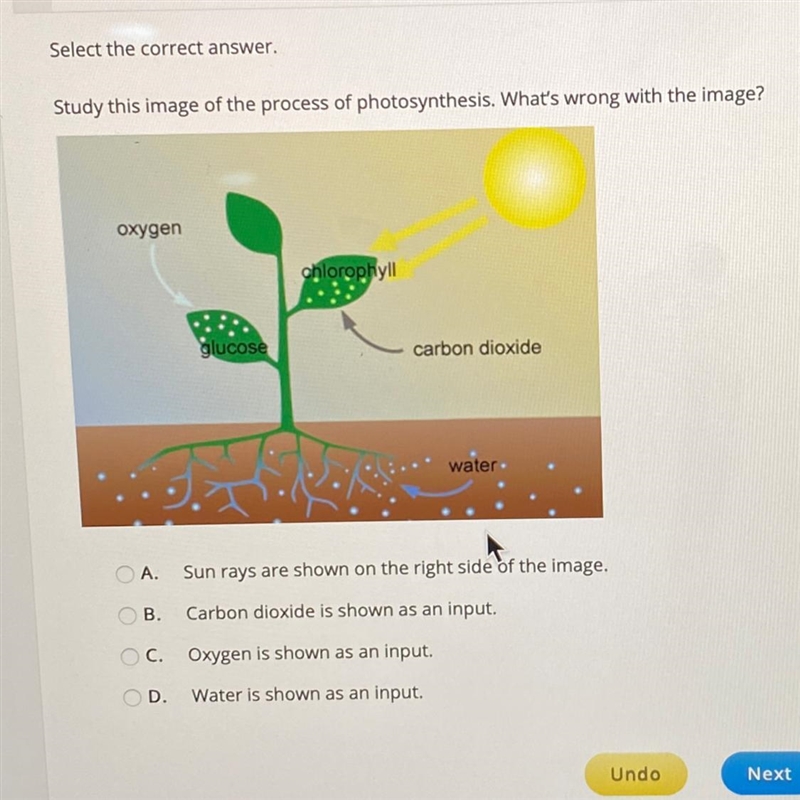 Select the correct answer Study this image of the process of photosynthesis What's-example-1