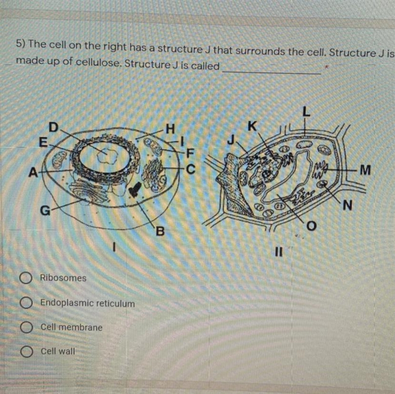 Hope this isn’t too hard to see ):-example-1