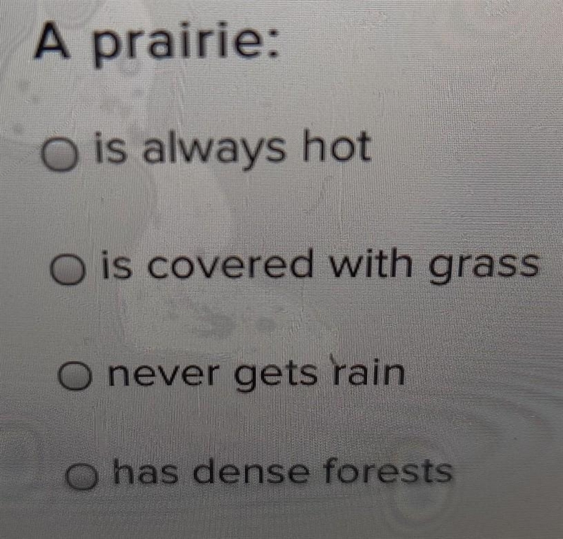 A prairie: A .is always hot B. is covered with grass C. never gets rain D. has dense-example-1