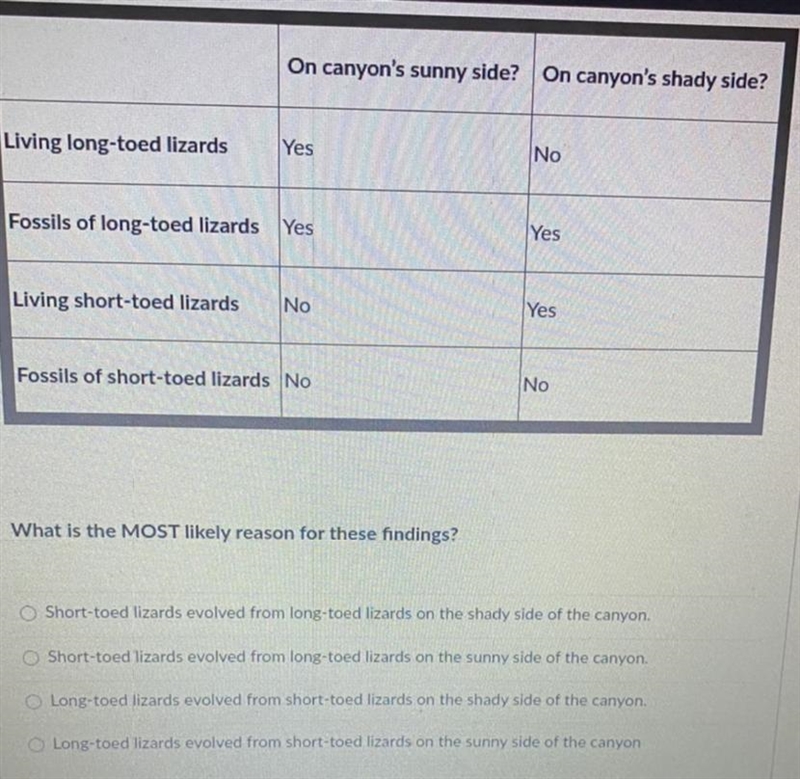 HELP!! this is for a science 8th grade test. zoom in for a clearer view of the answers-example-1