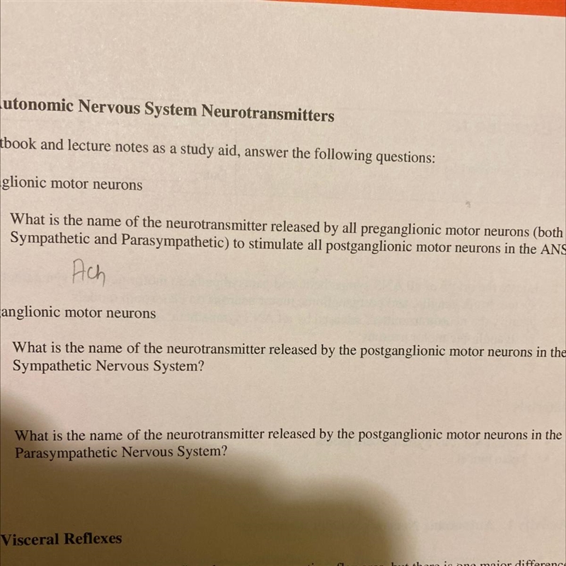 What is the name of the neurotransmitter released by the postganglionic motor neurons-example-1