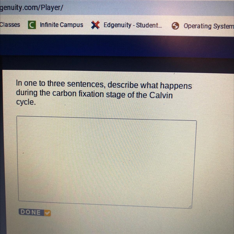 in one to three sentences describe what happens during the carbon fixation stage of-example-1