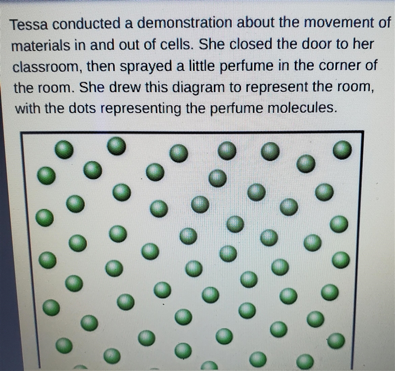 Which statement best describes what Tessa should tell the class about the diagram-example-1