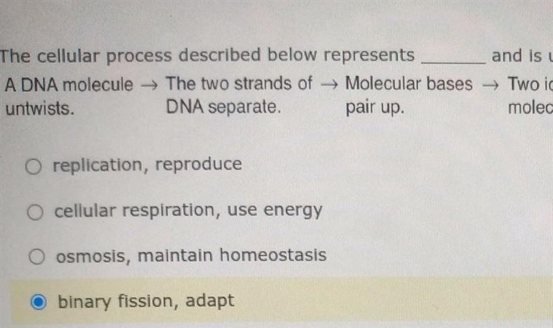 The cellular process described below represents __________ and is used by bacteria-example-1