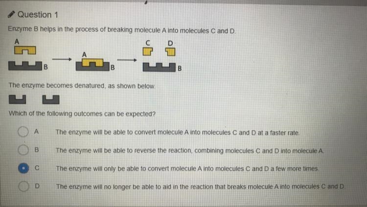 Biology enzymes! Help me somebody please.-example-1