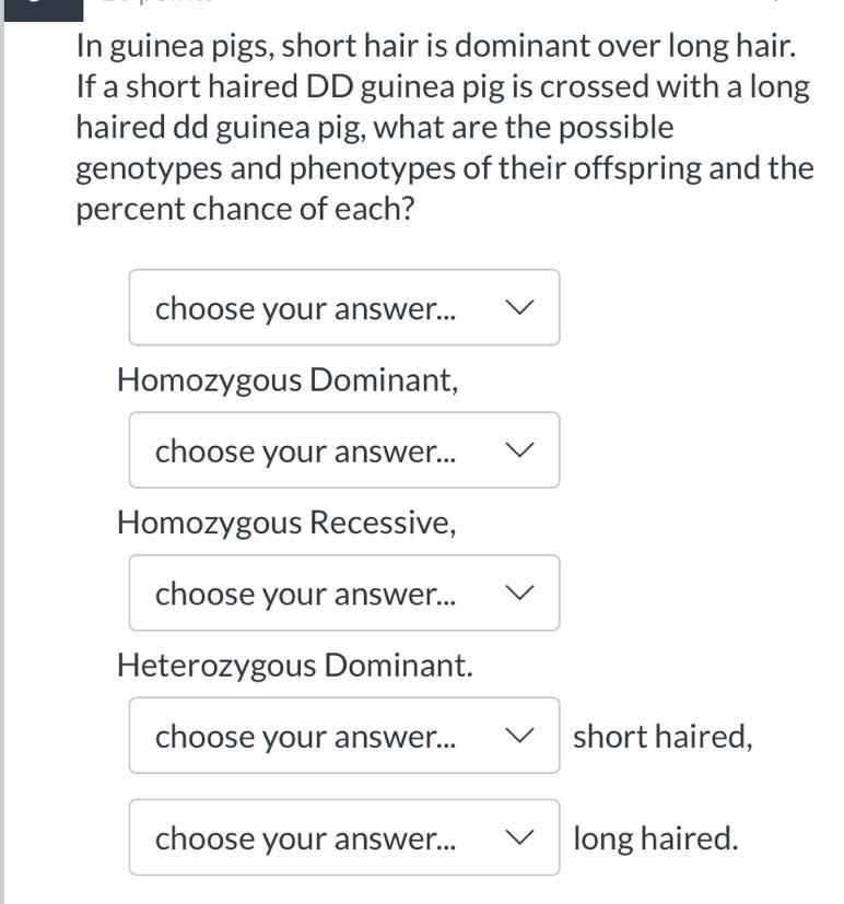 In guinea pigs, short hair is dominant over long hair. If a short haired DD guinea-example-1