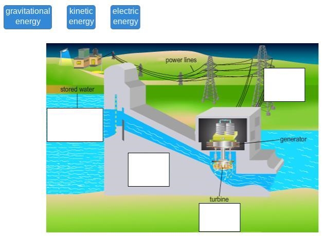 Drag each label to the correct location. Each label can be used more than once. In-example-1