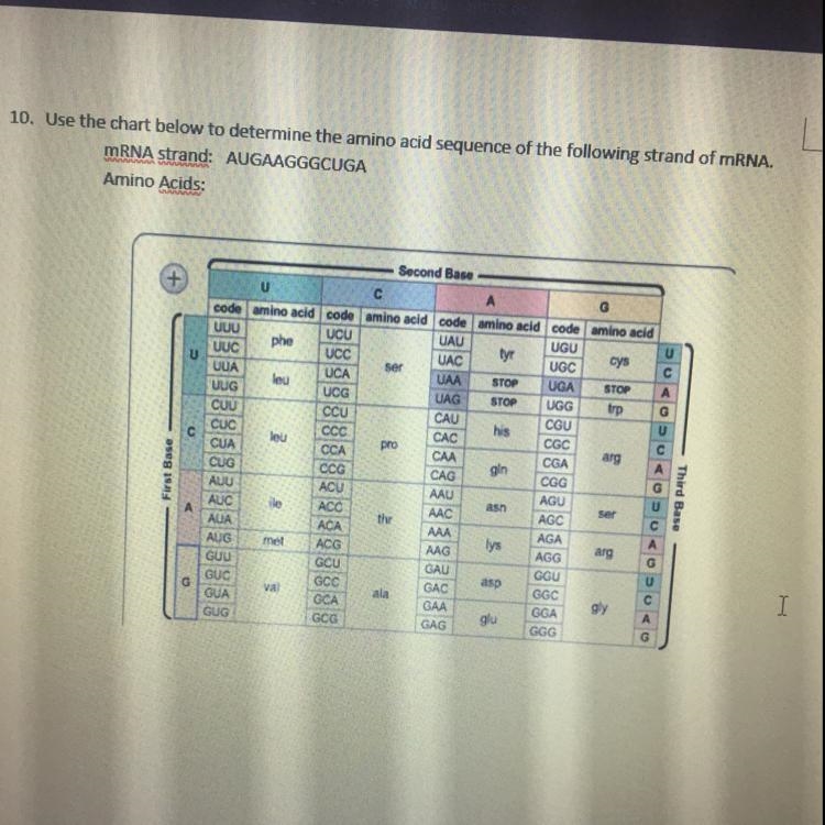 Use the chart below to determine the amino acid sequence of the following strand of-example-1