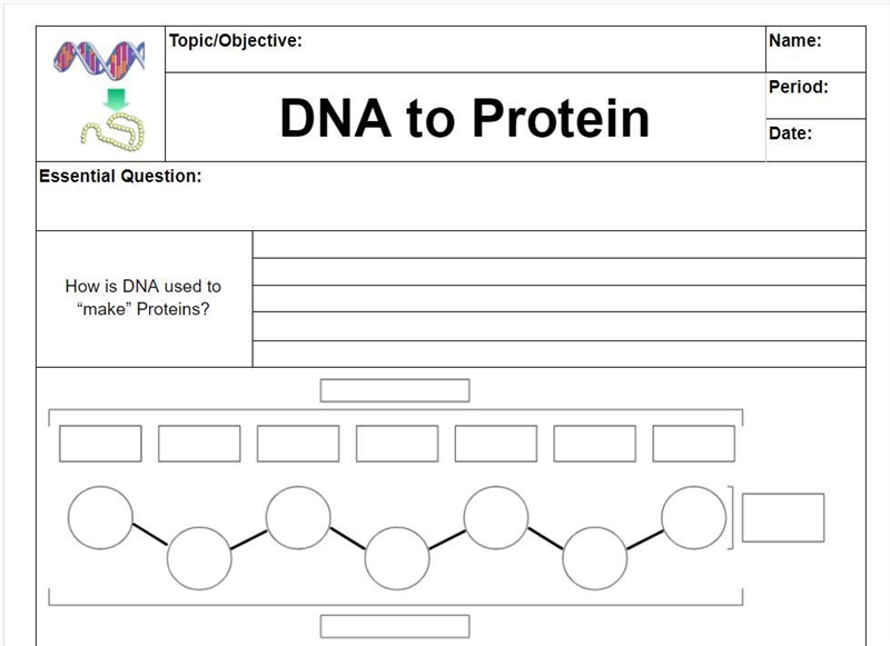 DNA TO PROTEIN How is DNA used to “make” Proteins? OCA2 Gene: ATA CTC TAC CTT GAG-example-2