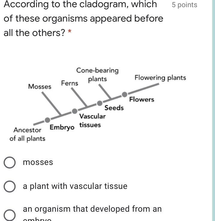 According to the cladogram, which of these organisms appeared before all the others-example-1