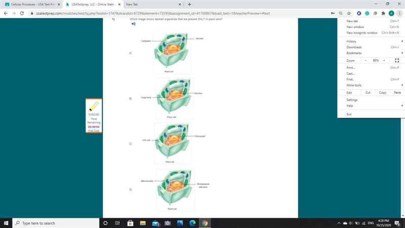 What image shows labeled organelles that are present only in plant cells.-example-1