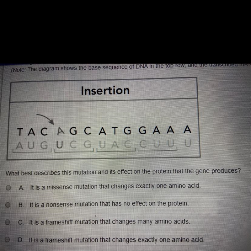 The diagram shows the effect of a point mutation on a section have a gene. The nitrogenous-example-1