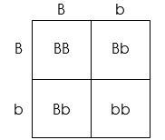 Two parents, both with brown eyes, have four children. One child has brown eyes, like-example-1