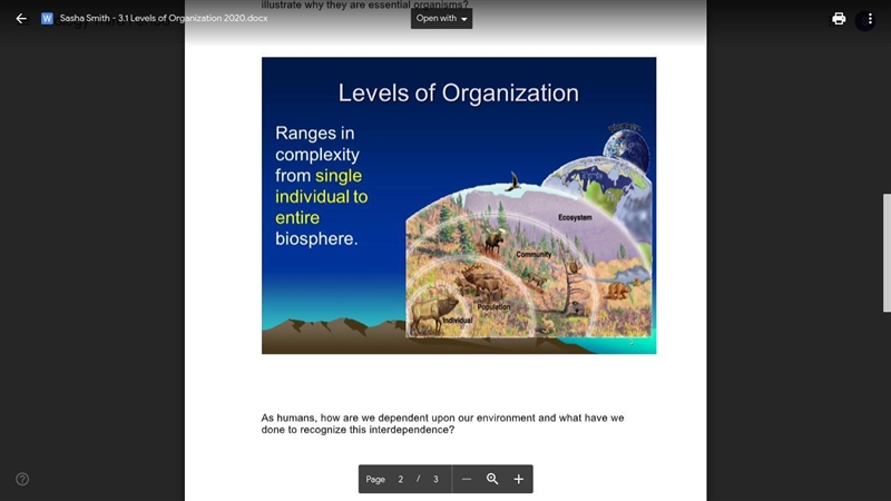 please explain the interactions and interdependence of organisms within a biosphere-example-1