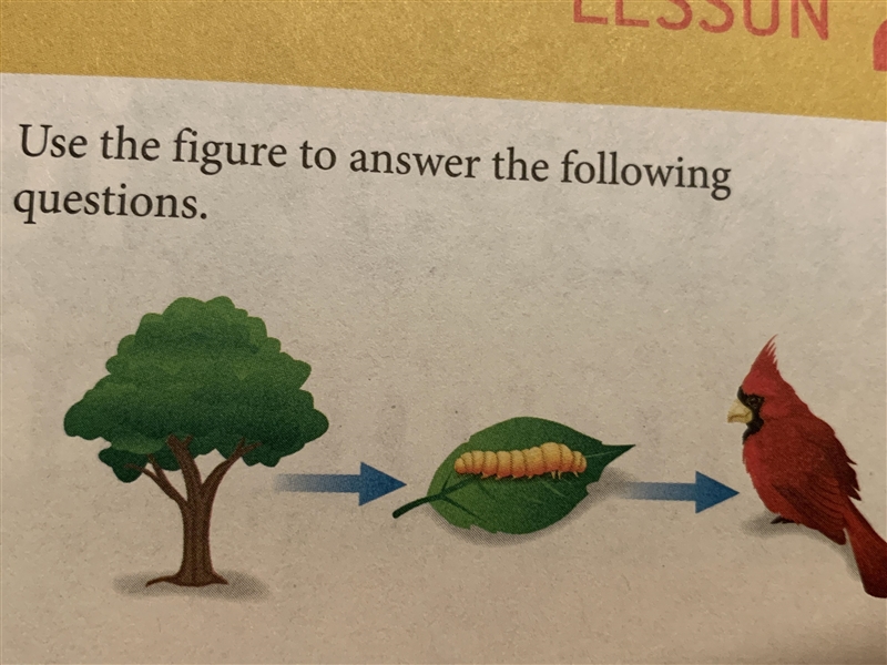 What do the arrows represent in the figure below?-example-1