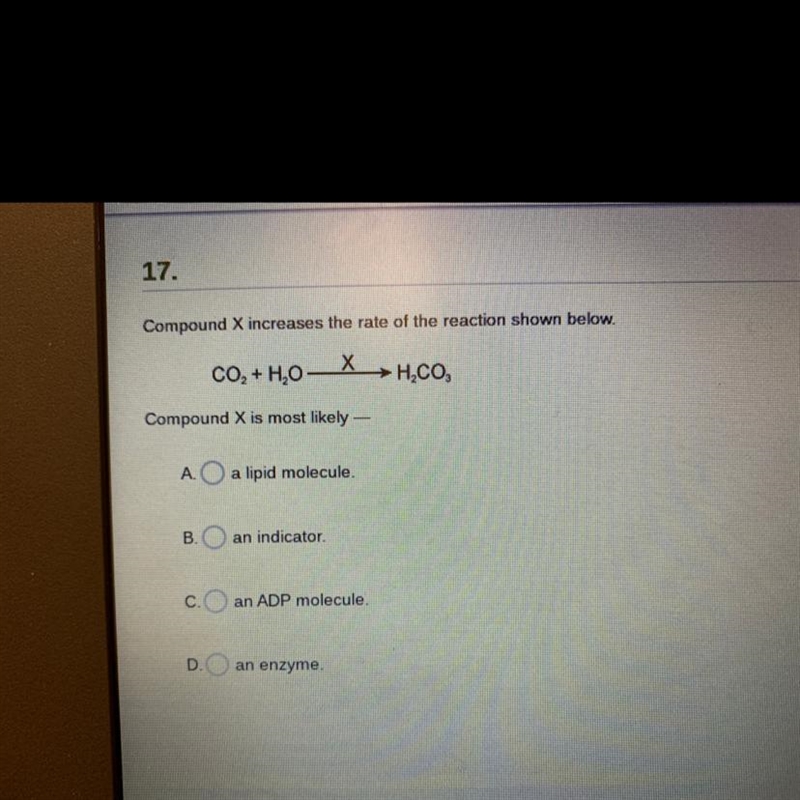 A. a lipid molecule b. an indicator c. an ADP molecule d. an enzyme-example-1