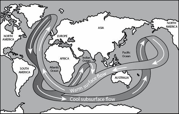 Help pls This illustration of the great ocean conveyor belt shows the movement of-example-1