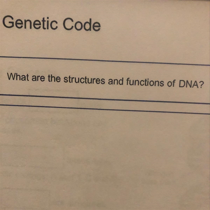 HELP!!!!! What are the structures and functions of DNA-example-1