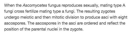 A fungus with white spores cross fertilizes a fungus with black spores. If 10% of-example-1