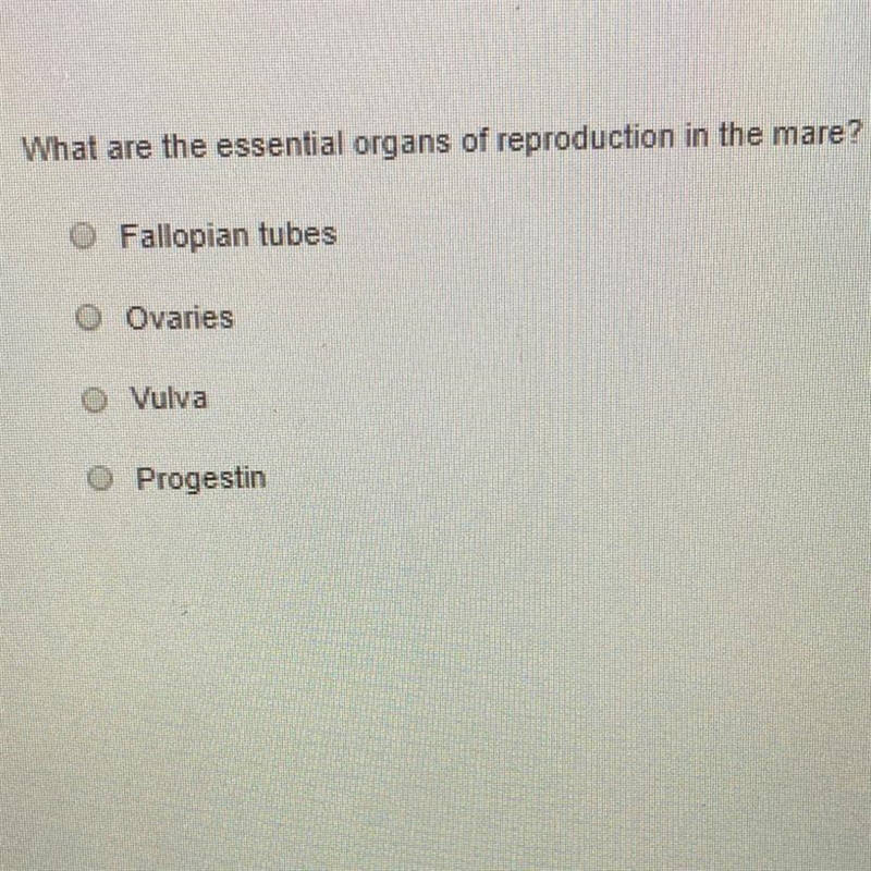 Which is the answer for it? I will appreciate the help-example-1