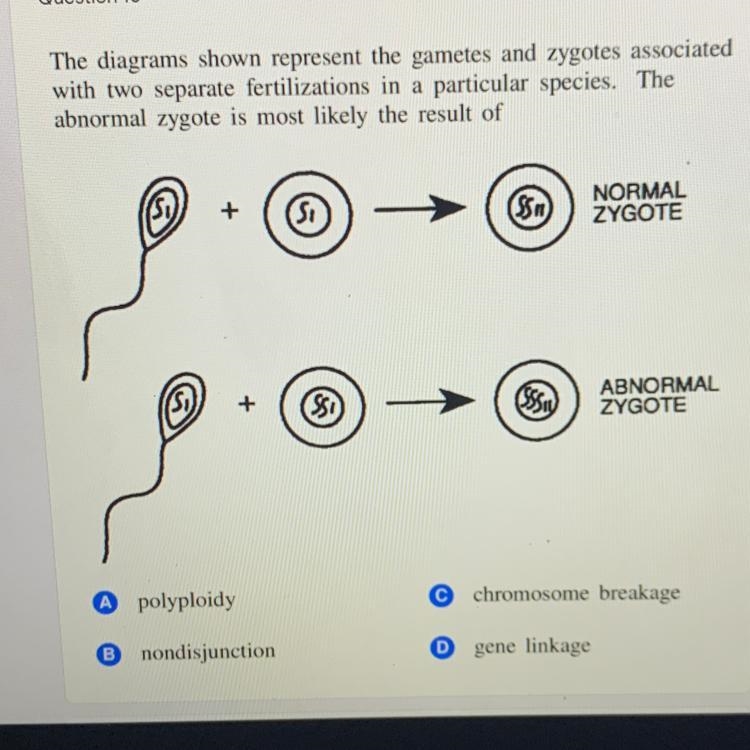 Can someone help please !-example-1