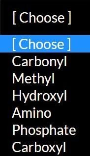 Match the functional groups with their structures: (Choices are in the attached image-example-1