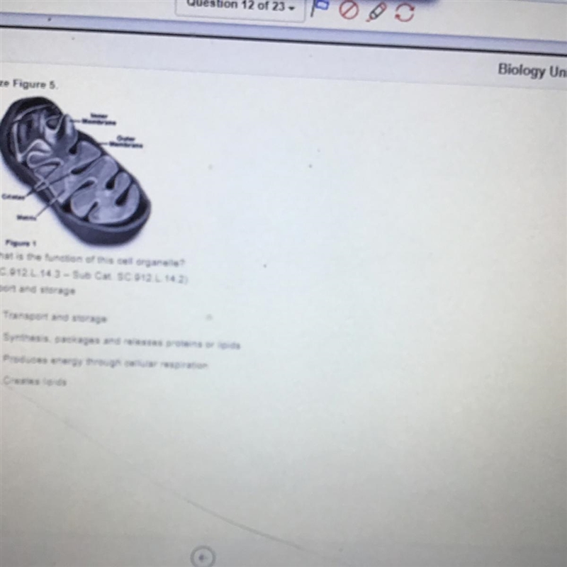 What is the function of this cell organelle-example-1