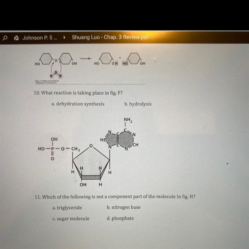 Please help! bio questions-example-1