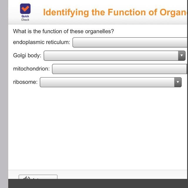 What is the function of these organelles-example-1