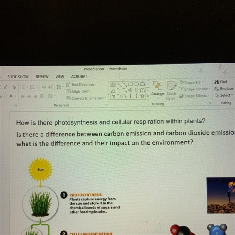 How is there photosynthesis and cellular respiration within plants-example-1