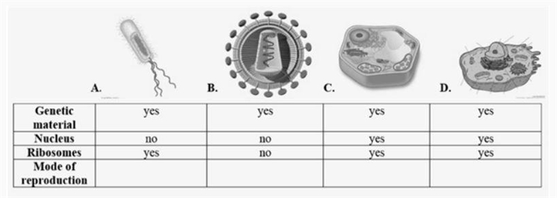 In which column on the chart below would the information below best fit for a mode-example-1