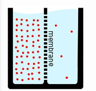 FIFTY POINTS (04.04 MC) Look at the diagram, which shows the process of diffusion-example-1