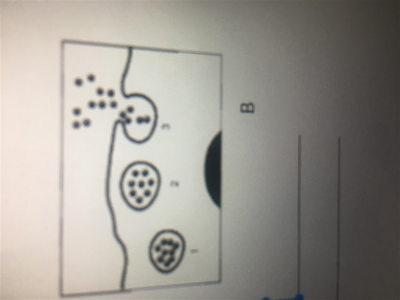 What process is shown in figure B-example-1