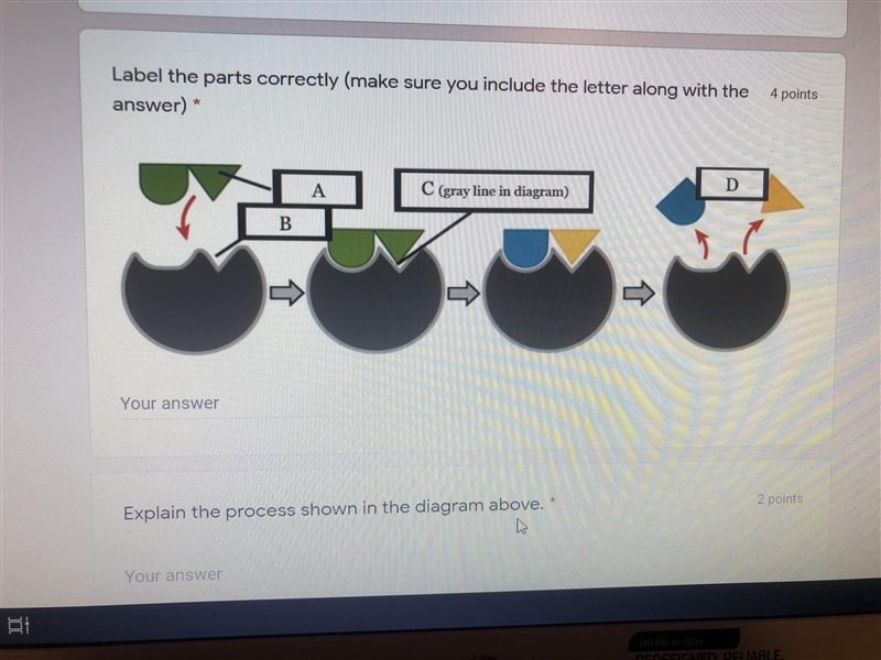 Can anyone help me with question 1 and 2 ?-example-1