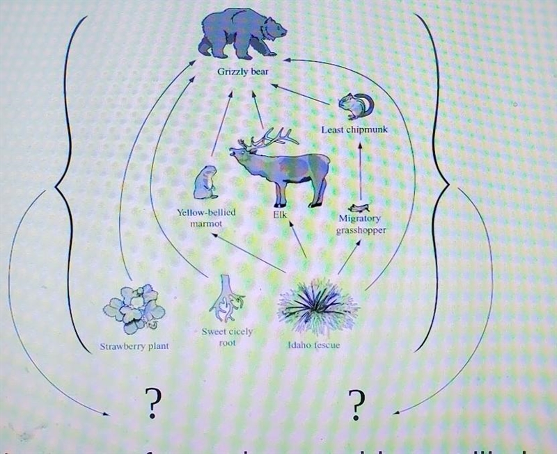 What type of organism would most likely be found in place of the question marks?​-example-1