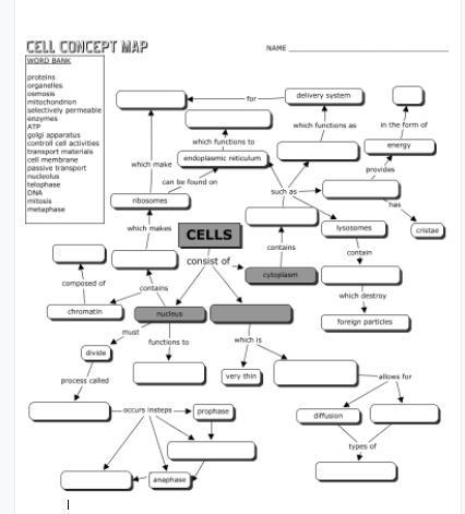 Fill in the blanks - biology - please & thank you!-example-1