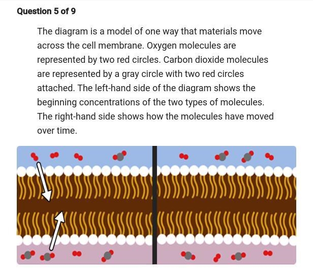 Can someone please help me this is Biology in 7th Grade-example-1