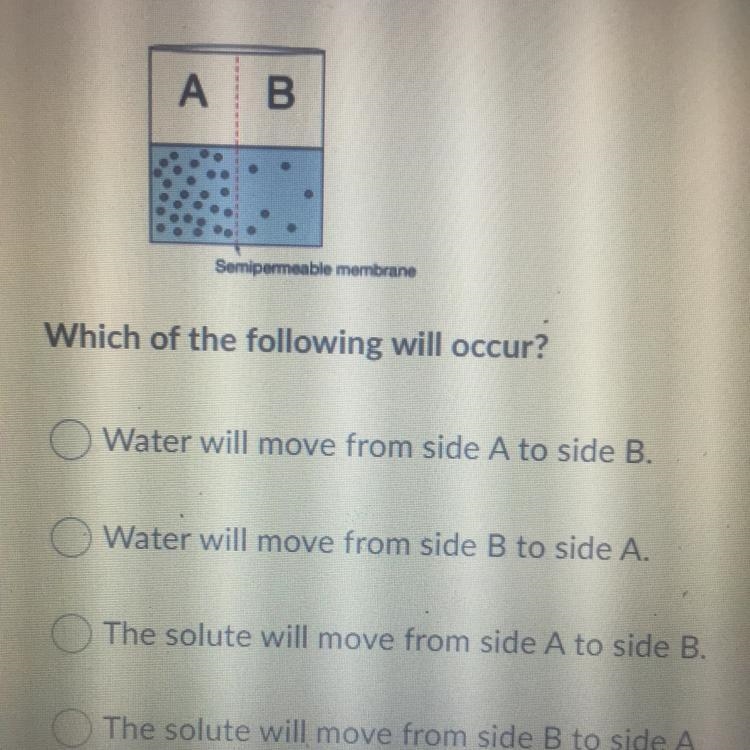 Which of the following will occur? A: Water will love from side A to side B. B: Water-example-1