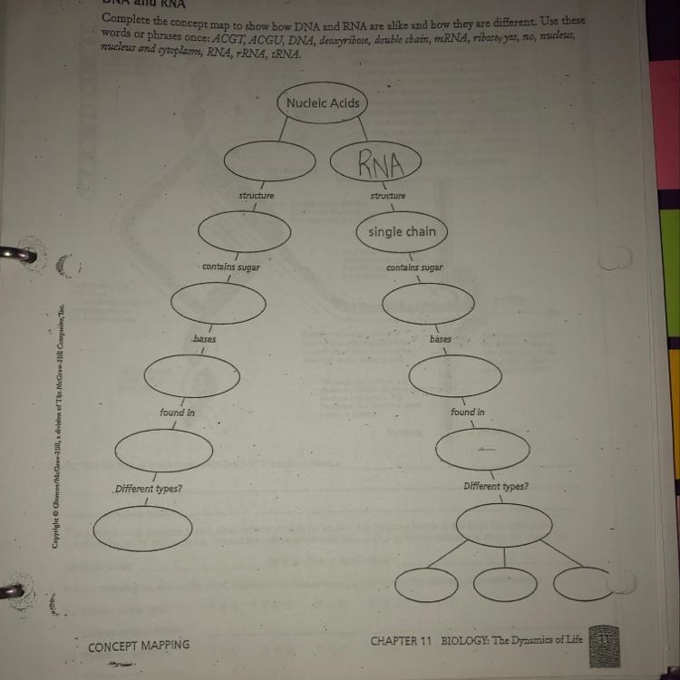 Which ones go in the circles ?-example-1