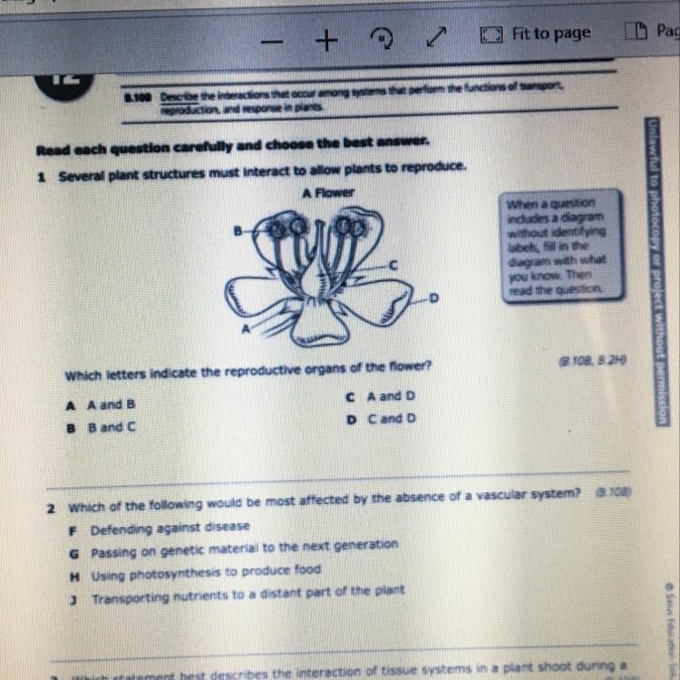 Can someone plz help ??-example-1