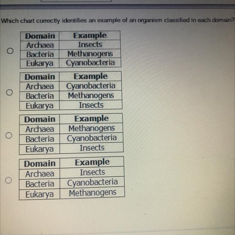 Can somebody solve this problem for me please-example-1