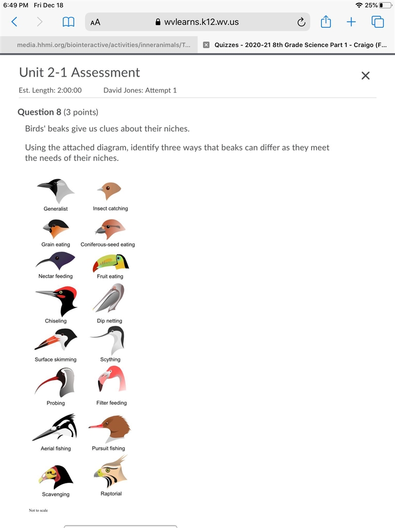 Birds' beaks give us clues about their niches. Using the attached diagram, identify-example-1