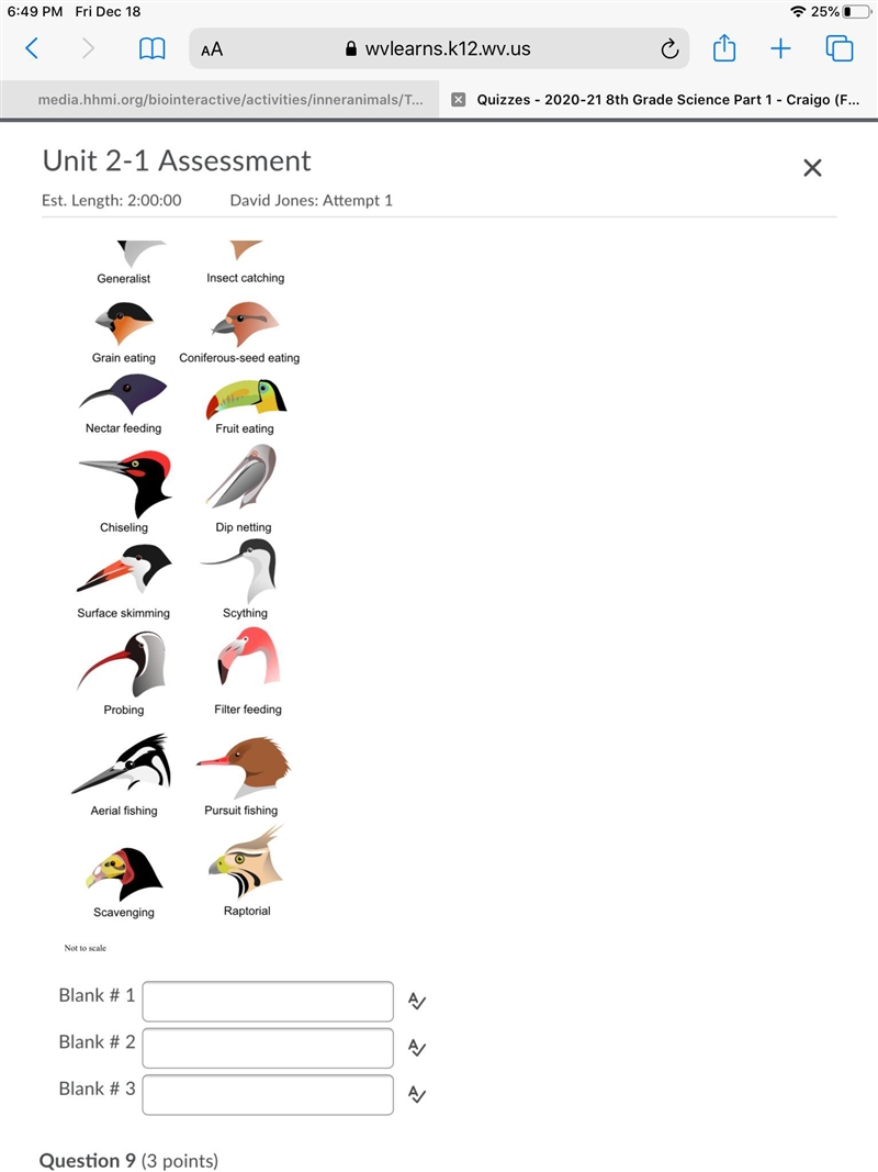 Birds' beaks give us clues about their niches. Using the attached diagram, identify-example-2