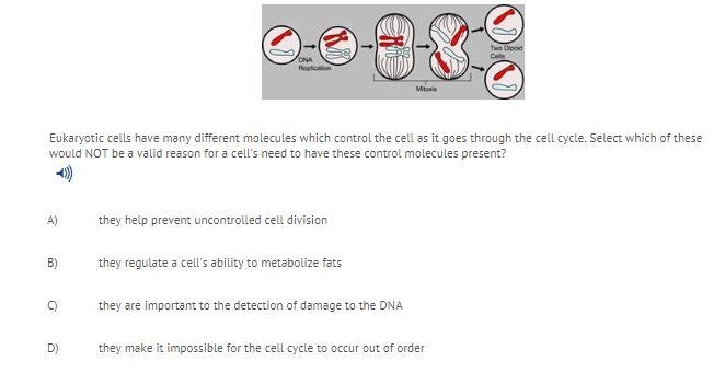 • Help Please I Have To Turn This In in 30 Seconds•-example-1