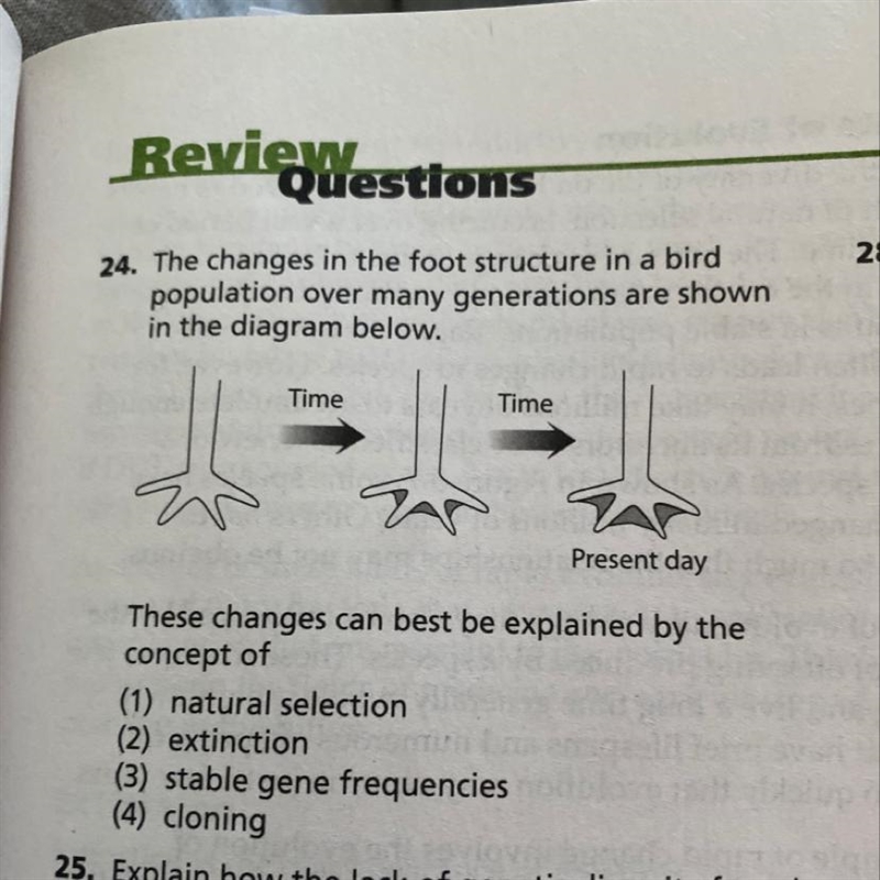 I need the answer to the question-example-1