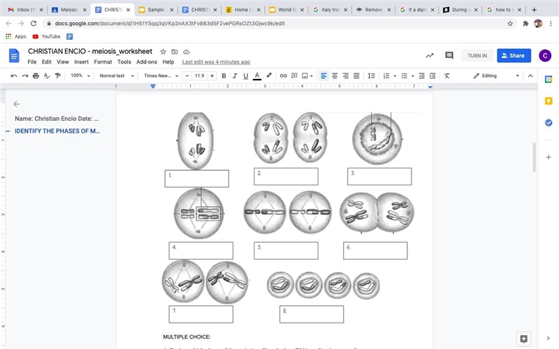 Please help me IDENTIFY THE PHASES OF MEIOSIS-example-1