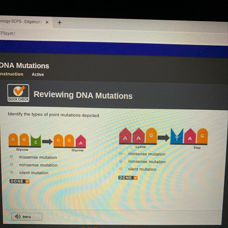 Identify the types of point mutations depicted-example-1