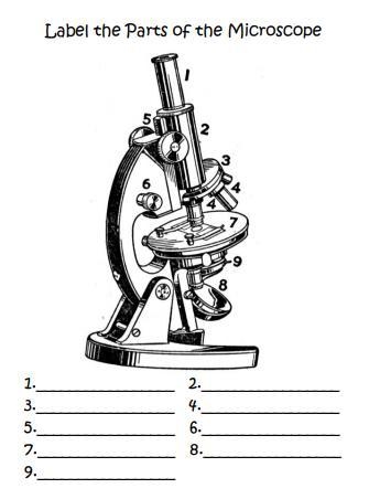 (~˘▾˘)~ Label the parts of a microscope ~(˘▾˘~)-example-1