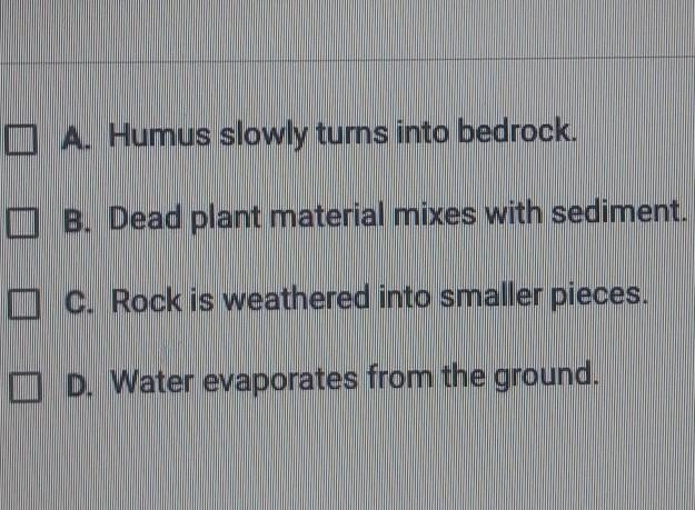 Question 3 of 5 Which two statements describe how soil horizons are formed?​-example-1