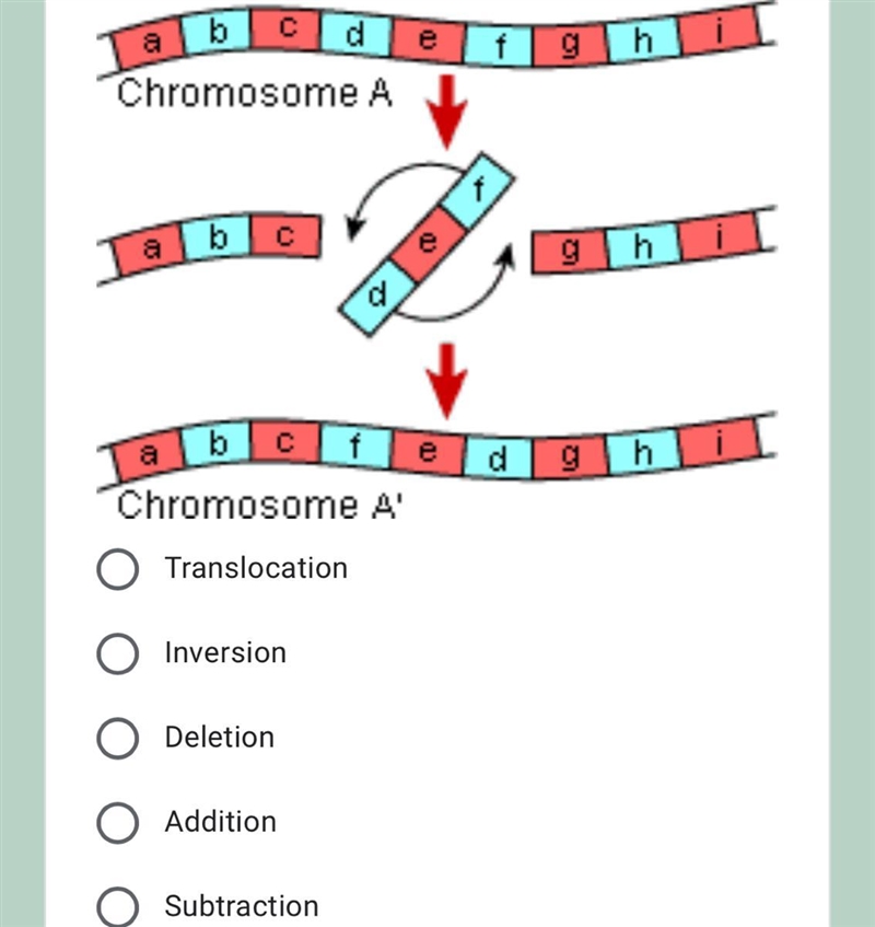 What type of mutation is taking place in this diagram? Answer options in the photo-example-1